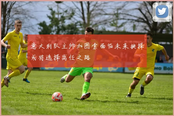 意大利队主帅加图索面临未来抉择或将选择离任之路