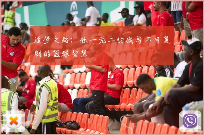 追梦之路：独一无二的我与不可复制的篮球智慧