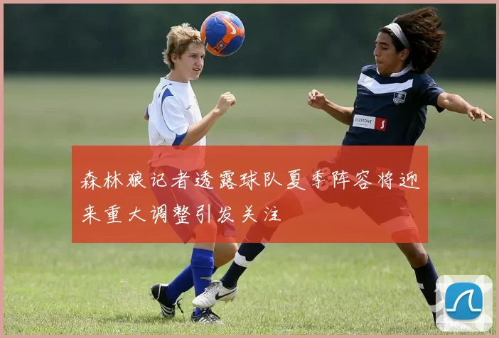 森林狼记者透露球队夏季阵容将迎来重大调整引发关注