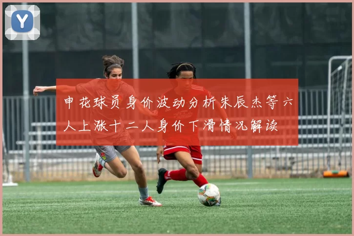 申花球员身价波动分析朱辰杰等六人上涨十二人身价下滑情况解读